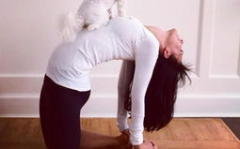 少妇瑜伽写真,少妇写真展现身心和谐